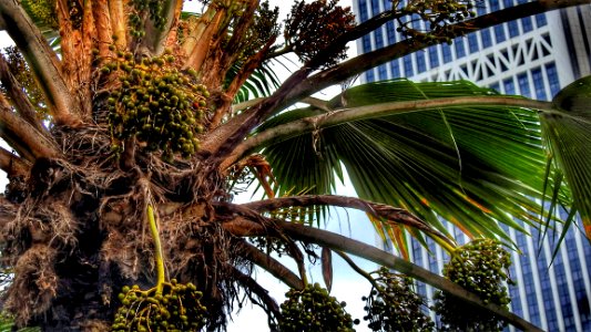 Above the Sidewalk