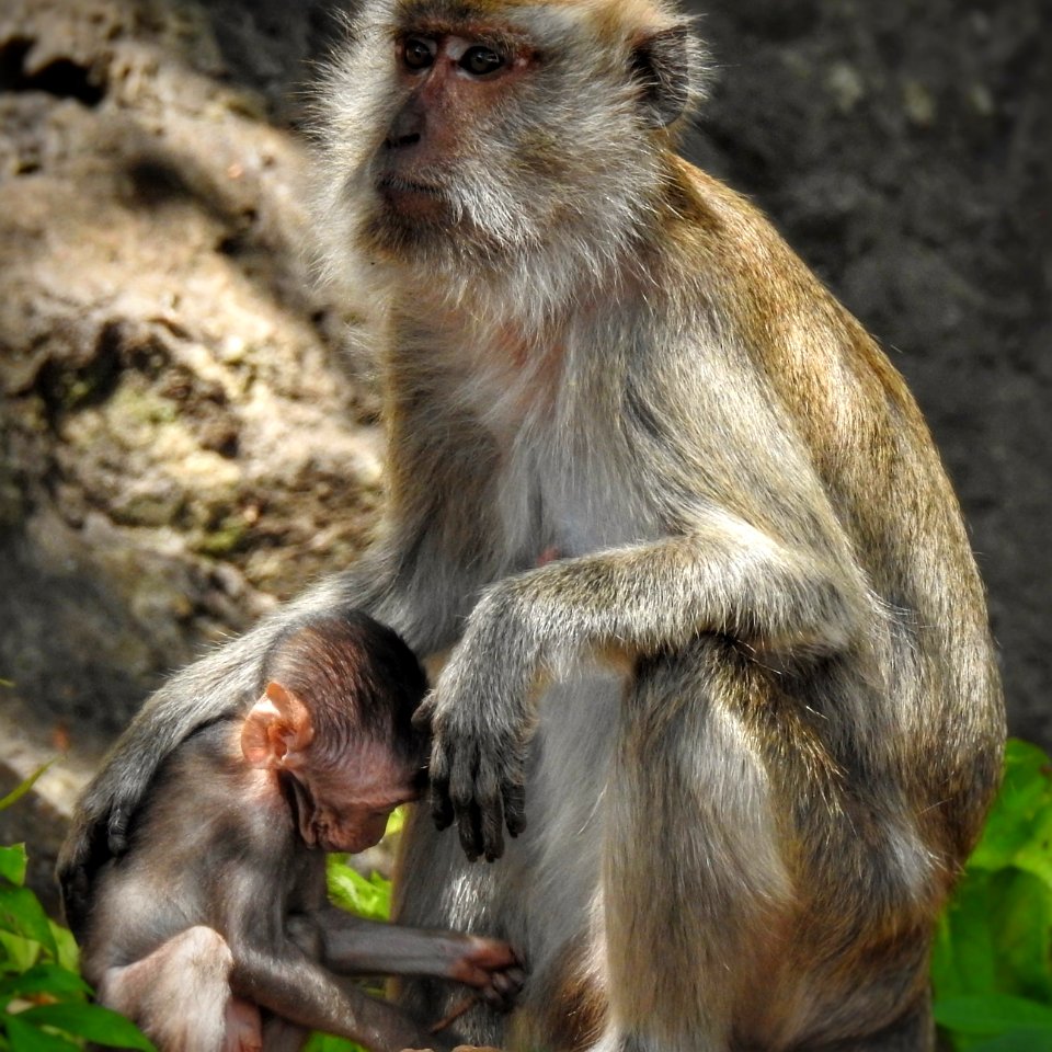 Only a Mother Could Love