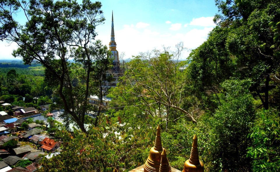 Construction on Enormous Temple