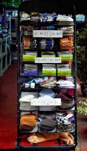 How Much is the Item on the Bottom Shelf?