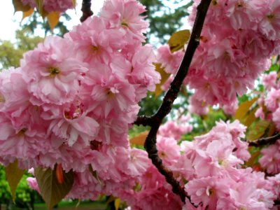 2007_04_27