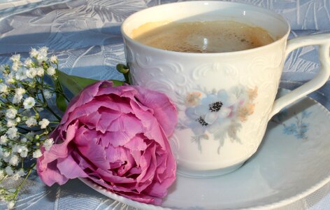 Saucer good morning benefit from