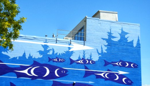Salmon Mural