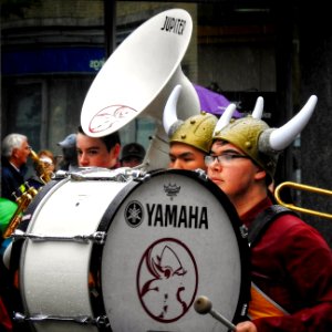 The Vikings