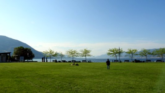 Oh, BC!