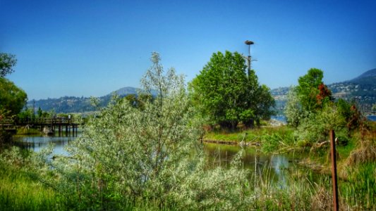Kelowna Reclamation