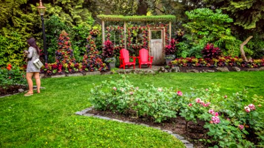 Queen's Park Rose Garden