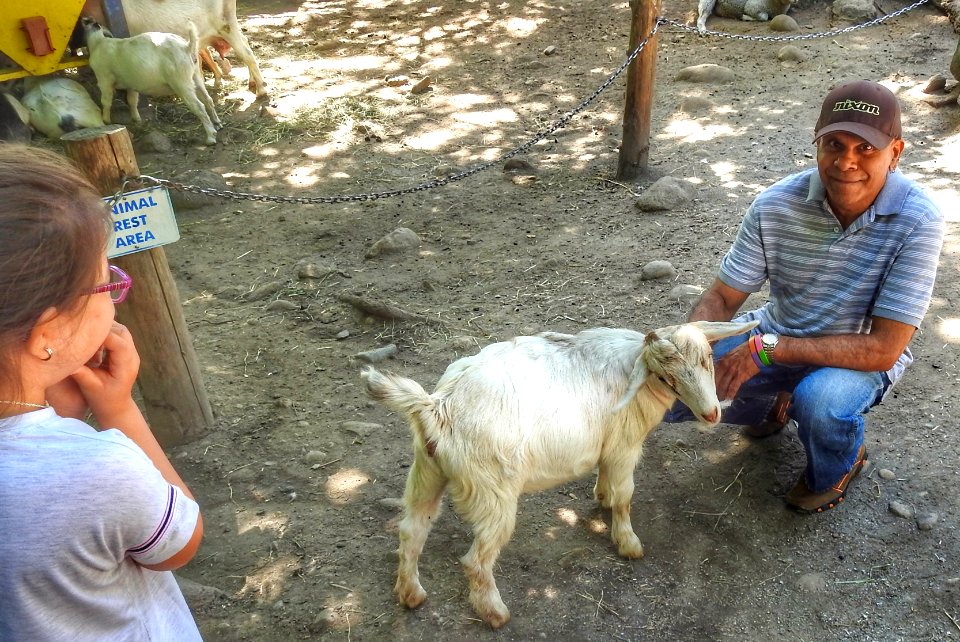 More Goat