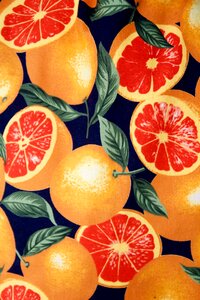 Mandarin citrus fruit orange shrub