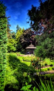 More Rose Garden Visits