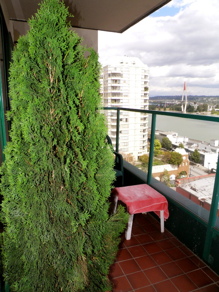 2010_07_22