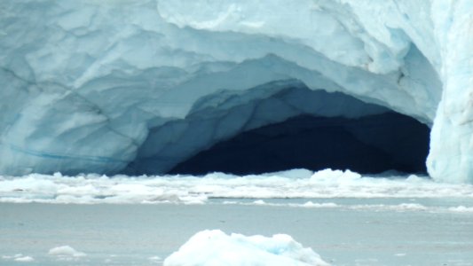 Alaskan Cruise - Camera