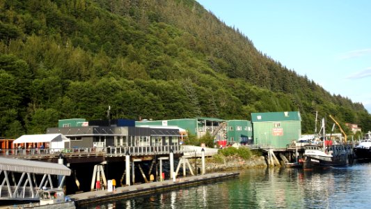 Alaskan Cruise - Camera