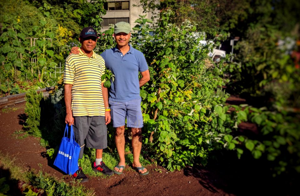 Community Gardens