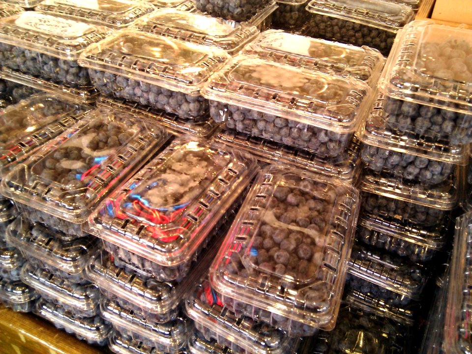 Good Blueberry Year