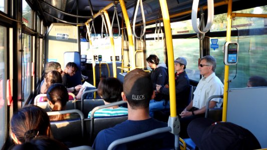 #100 Bus