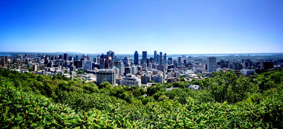 Mount Royal Pano II