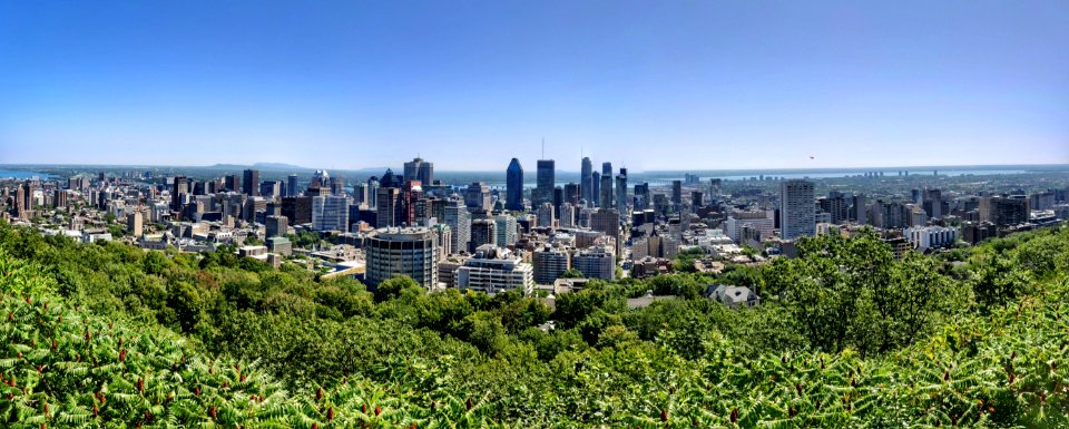 Mount Royal Pano I
