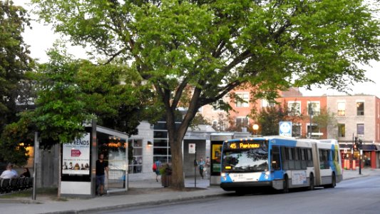 Monday Evening on Papineau