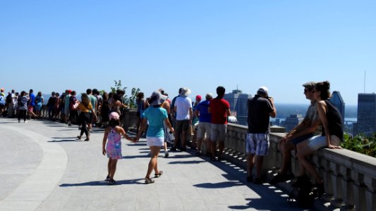 Mount Royal in the Sun