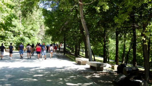 Mount Royal in the Sun