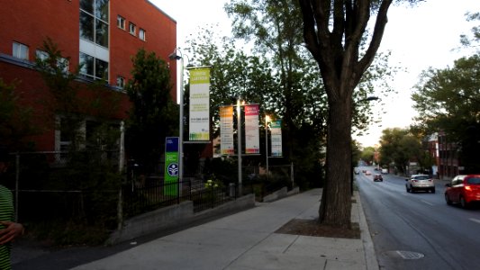 Monday Evening on Papineau