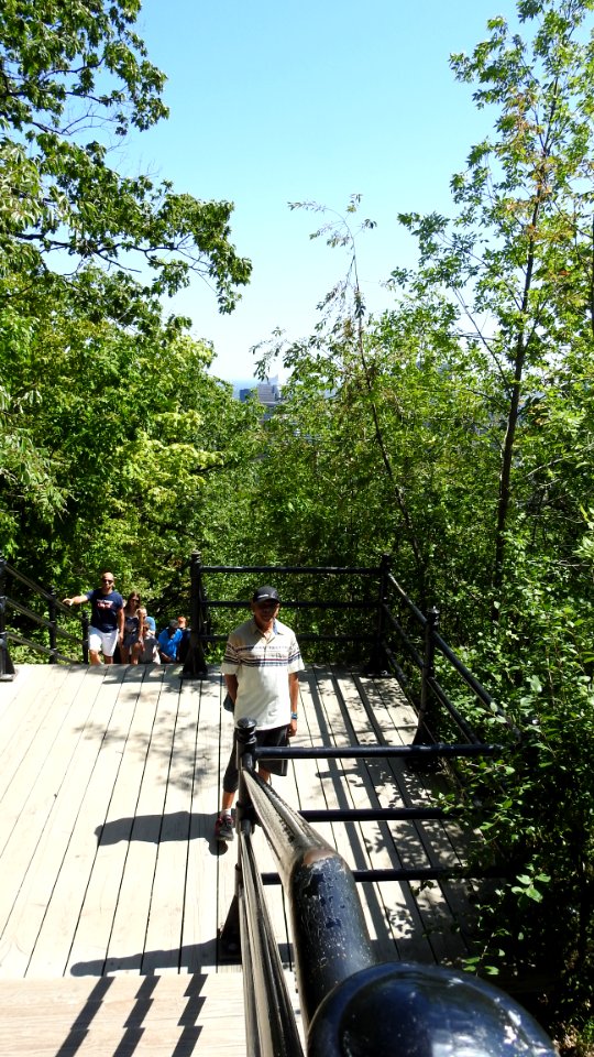 Mount Royal in the Sun