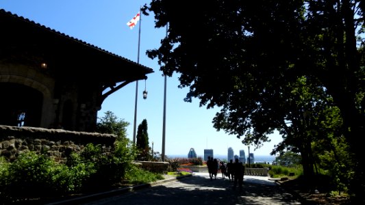 Mount Royal in the Sun