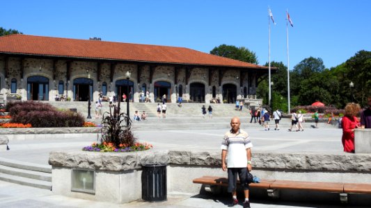 Mount Royal in the Sun