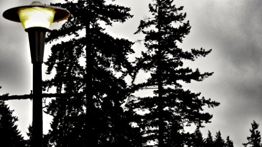 Daytime Street Light