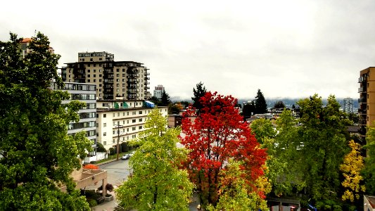 From the Roof