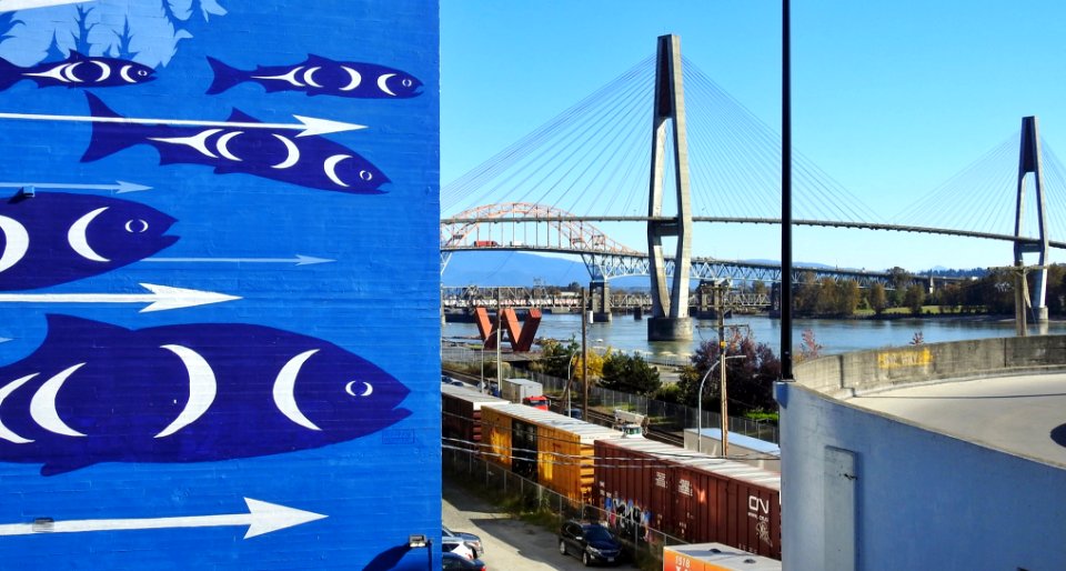 Salmon (wall mural) by the Fraser (river)