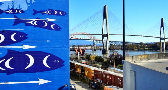 Salmon (wall mural) by the Fraser (river)