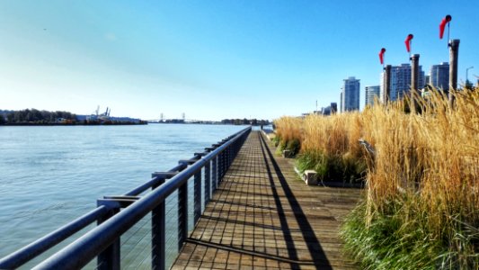 Pier Park on the Fraser River