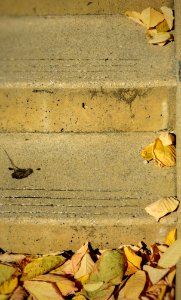 Sweep the Steps
