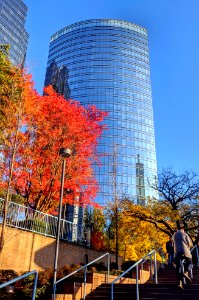Metrotown Office Space
