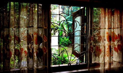 Waking Up in a Jungle
