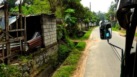 A Trip to Town