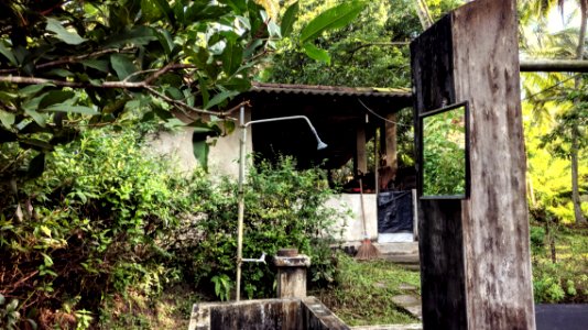 By the Coconut Trees: I Prefer to Shave in the Morning by …