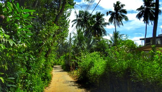 Our Unnamed Road (Concrete Base)