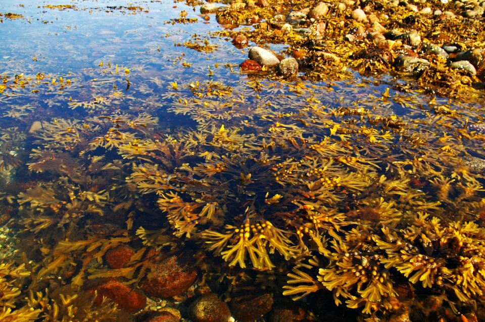 Beach sea summer