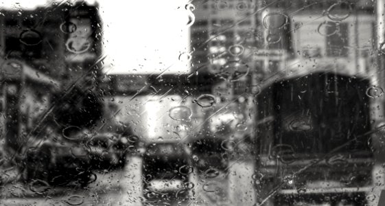 Galle Road in the Rain