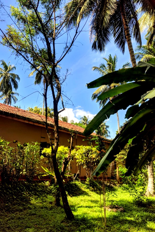 We're Returned to Minuwangoda