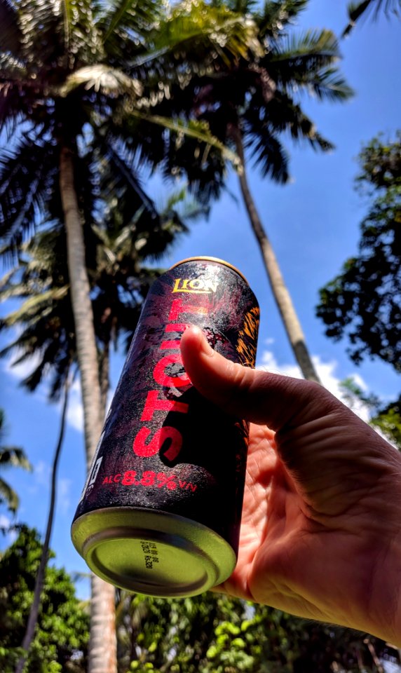 Here's My Beer. Here Are the Coconut Trees