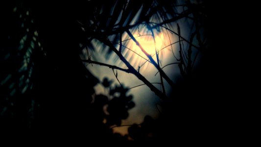 Solar Eclipse