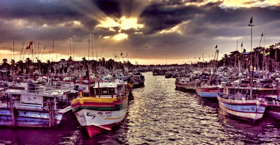 Negombo Fishing Boats