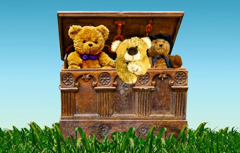 Treasure chest teddy bears valuable photo