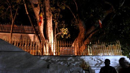 Anuradhapura Night Visit (Unedited)
