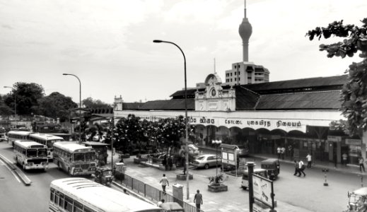 Timeless Except for Lotus Tower