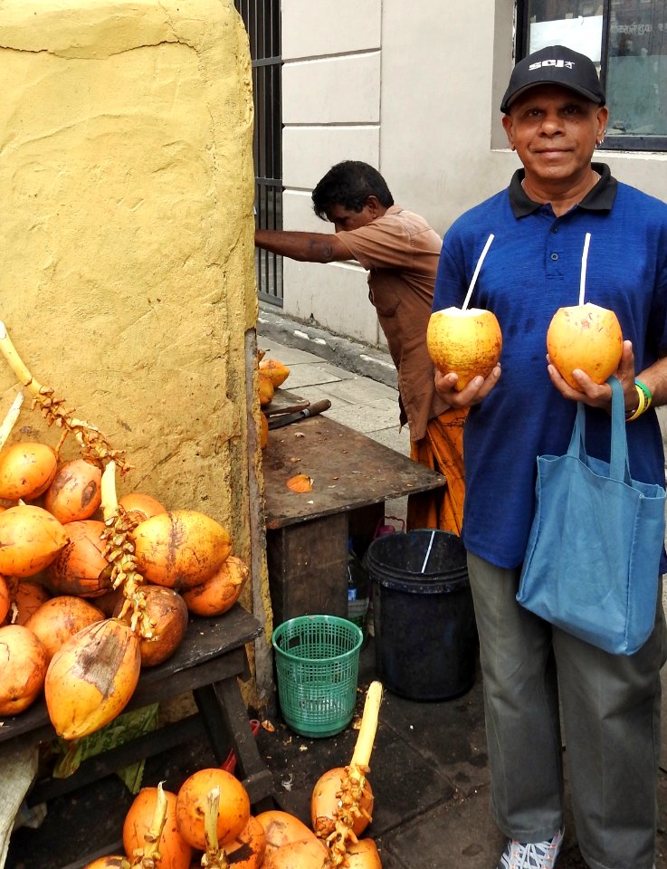 The King Coconuts are Best for Drinking